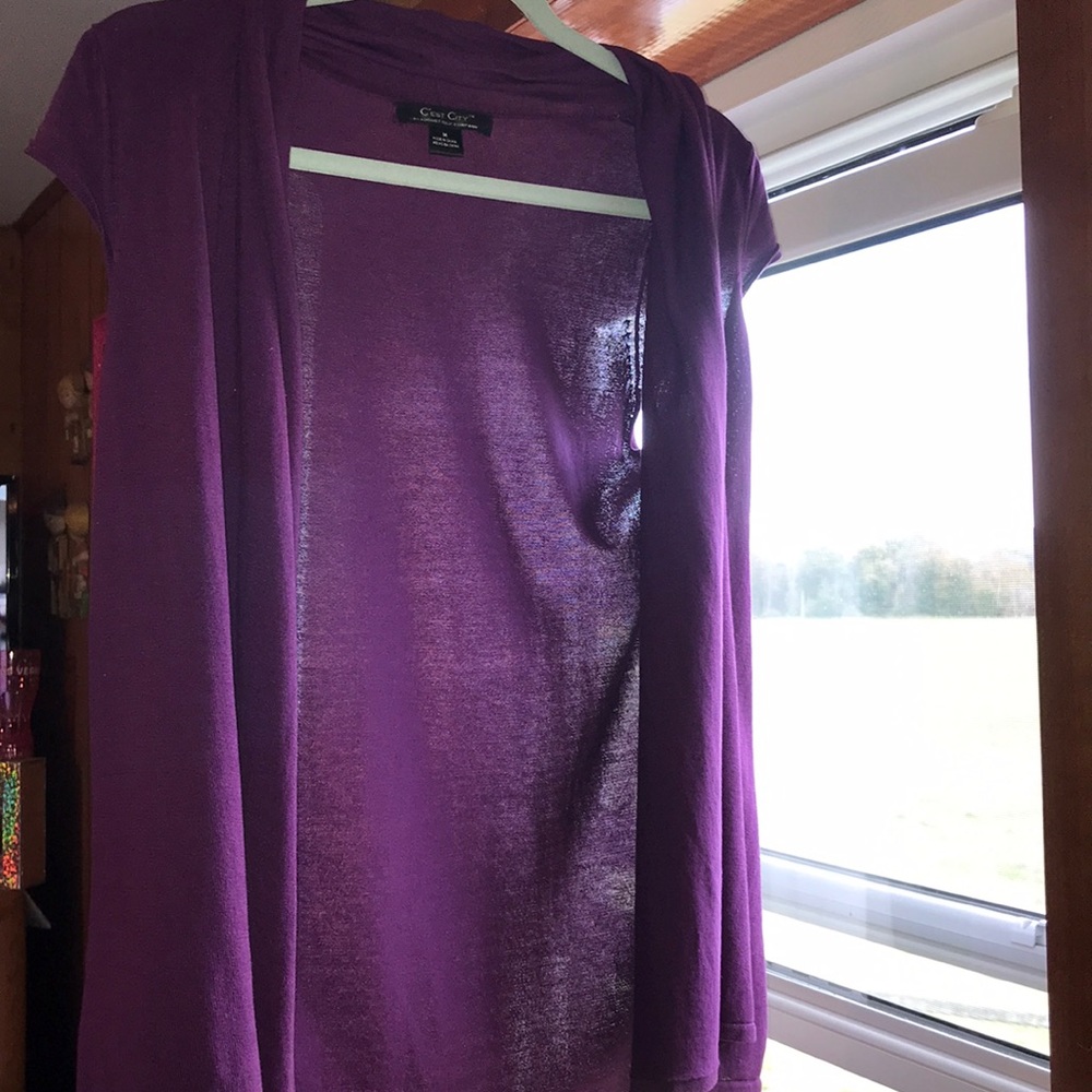 Purple Sweater Vest